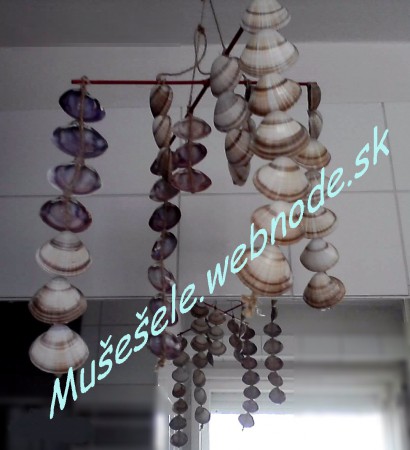 Mušličkohra